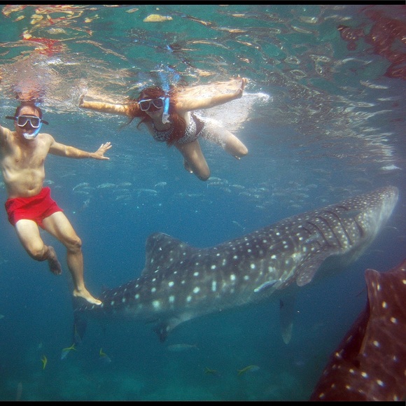 ♥️MEET YOUR POSHER! - Picture 4 of 4